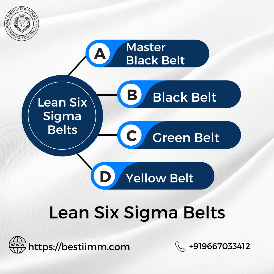 Best way to Understanding Lean Six Sigma Belts in 2025